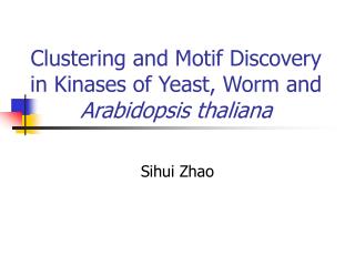 Clustering and Motif Discovery in Kinases of Yeast, Worm and Arabidopsis thaliana