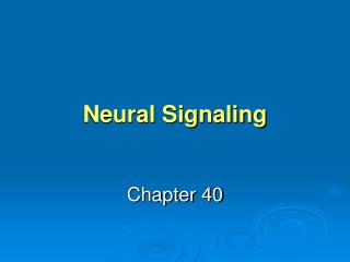 Neural Signaling