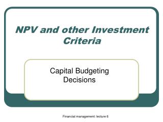 NPV and other Investment Criteria