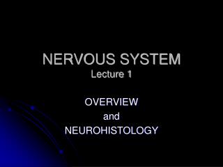 NERVOUS SYSTEM Lecture 1