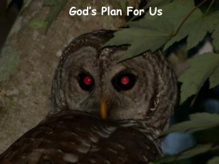 God’s Plan For Us