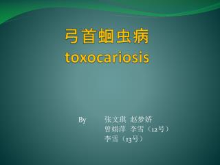 弓首蛔虫病 toxocariosis