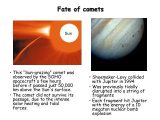Fate of comets