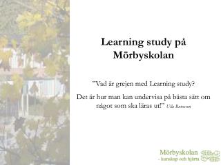 Learning study på Mörbyskolan ”Vad är grejen med Learning study?