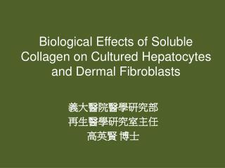 Biological Effects of Soluble Collagen on Cultured Hepatocytes and Dermal Fibroblasts