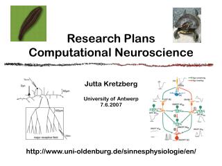 Research Plans Computational Neuroscience