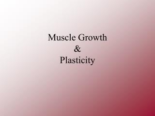 Muscle Growth &amp; Plasticity