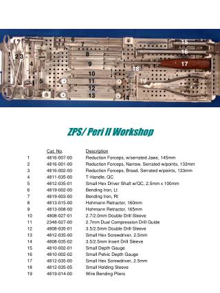 ZPS/ Peri II Workshop