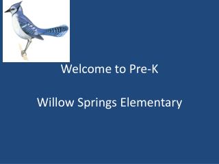 Welcome to Pre-K