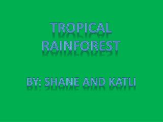 TROPICAL Rainforest