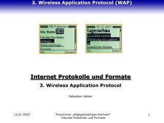 3. Wireless Application Protocol (WAP)