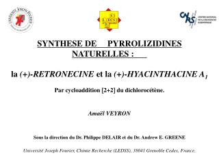 SYNTHESE DE PYRROLIZIDINES NATURELLES : la (+)-RETRONECINE et la (+)-HYACINTHACINE A 1