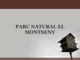 PARC NATURAL EL MONTSENY
