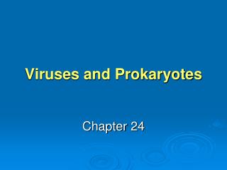 Viruses and Prokaryotes