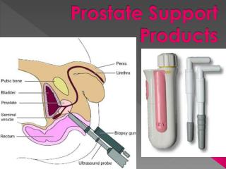 Prostate Support Products