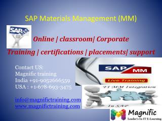 SAP MM ONLINE TRAINING IN USA
