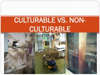 Culturable vs. non culturable