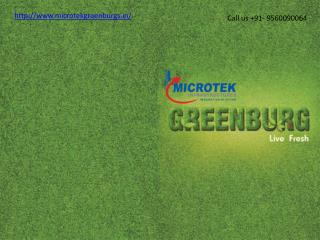 Microtek Greenburg
