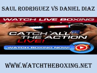watch Saul Rodriguez vs Daniel Diaz 7 February 2015 live