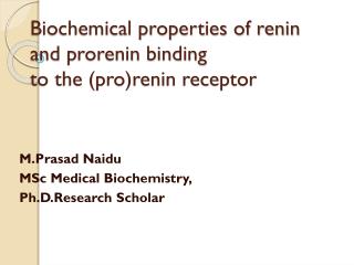 BIOCHEMICAL PROPERTIES OF RENIN AND PRORENIN BINDING