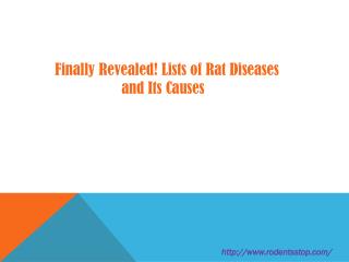 Finally Revealed! Lists of Rat Diseases and Its Causes