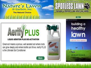 Aeration of Lawns