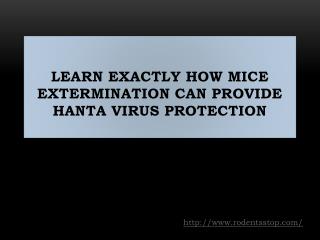 Learn Exactly How Mice Extermination Can Provide Hanta Virus