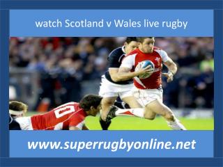 live Six Nations Rugby Scotland vs Wales 15 feb 2015 hd