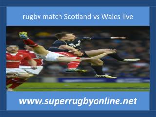 online rugby Scotland vs Wales live