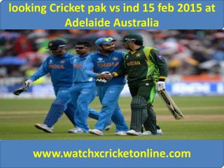 looking Cricket pak vs ind 15 feb 2015 at Adelaide Australia