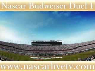 Live Nascar Budweiser Duel 1 Race 19 feb 2015