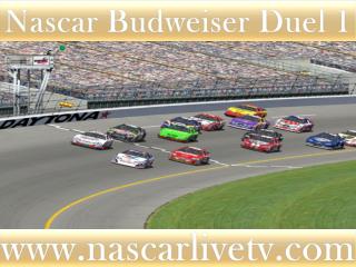 watch Budweiser Duel 1 at Daytona online