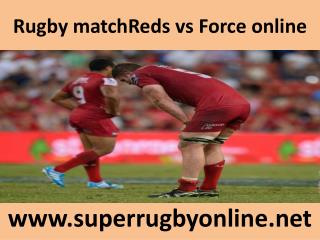 Force vs Reds live Rugby