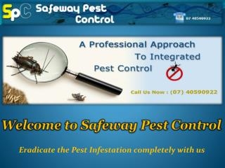 Commercial Pest Control in Cairns - Safeway Pest Control