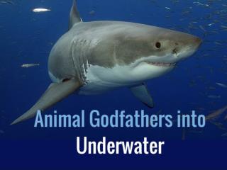 Animal Godfathers into Underwater