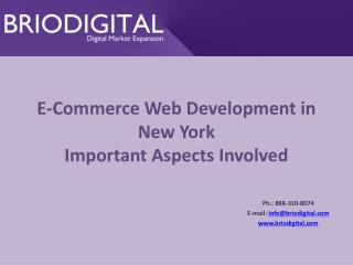 E-Commerce Web Development in New York Important Aspects