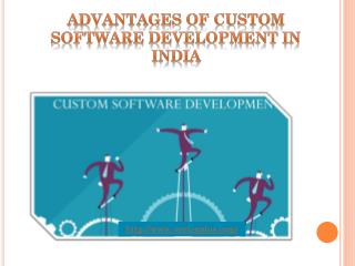 Advantages Of Custom Software Development In India