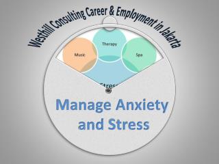 Westhill Consulting Career & Employment in Jakarta: Manage A