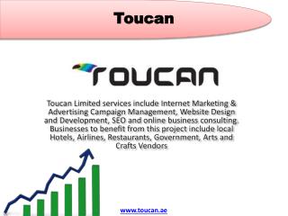 Toucan Internet Marketing