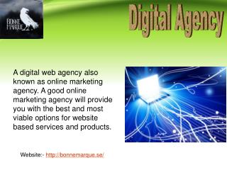 Digital Agency for increasing your online visibility