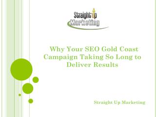 Why Your SEO Gold Coast Campaign Taking So Long to Deliver R