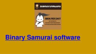 Binary Samurai