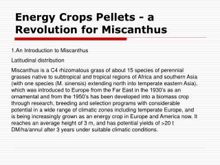 Energy Crops Pellets - a Revolution for Miscanthus