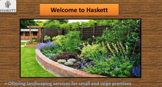 Modern Garden Design - Haskett