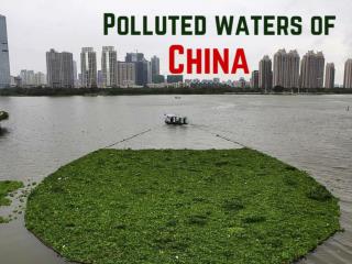 Polluted waters of China