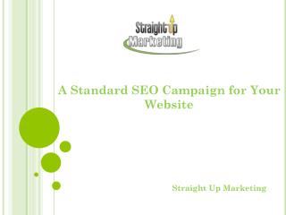 A Standard SEO Campaign for Your Website