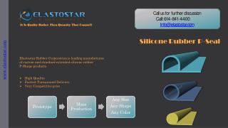 Silicon Extruded Rubber P Seal by Elastostar