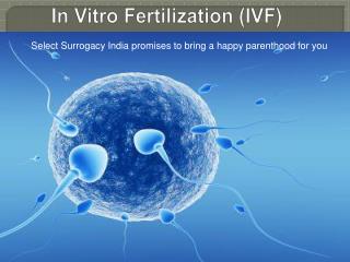 In vitro fertilization - IVF in India