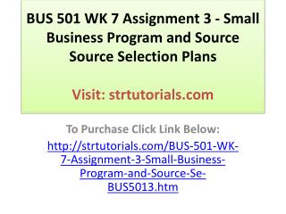 BUS 501 WK 7 Assignment 3 - Small Business Program and Sourc