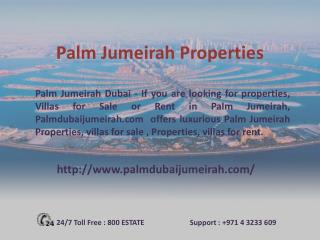 Palm Jumeirah Property for Rent - palmdubaijumeirah.com